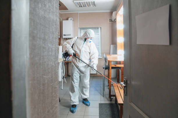 Best Emergency Mold Remediation  in Candor, NC