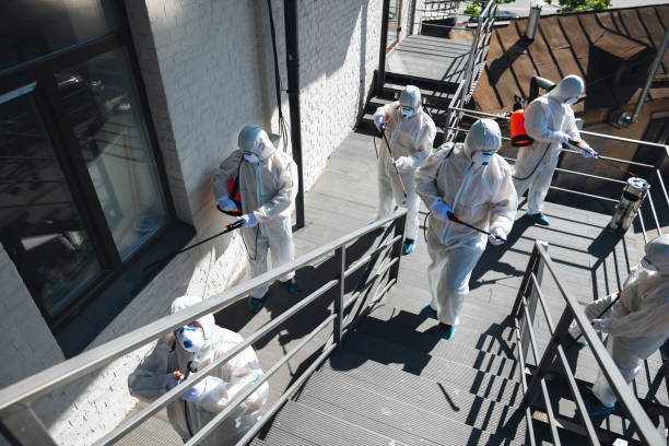 Best Residential Mold Inspection & Testing  in Candor, NC