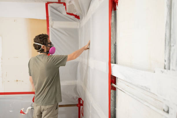 Best Environmental Consulting for Mold Prevention  in Candor, NC
