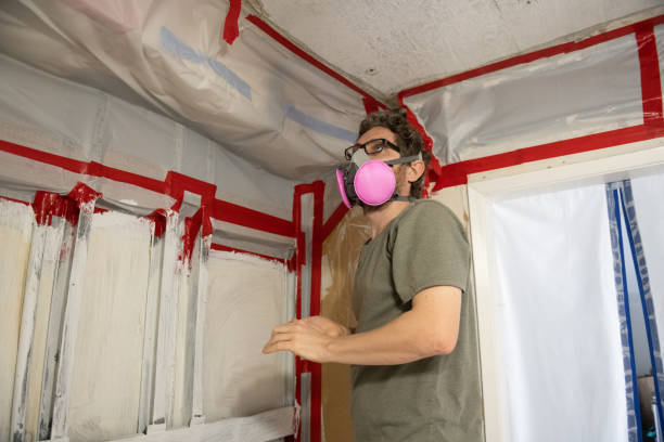 Best Commercial Mold Inspection  in Candor, NC