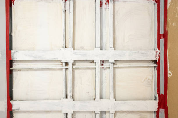 Candor, NC Mold Removal Company