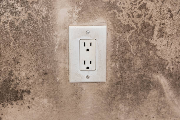 Best Dehumidification Services  in Candor, NC